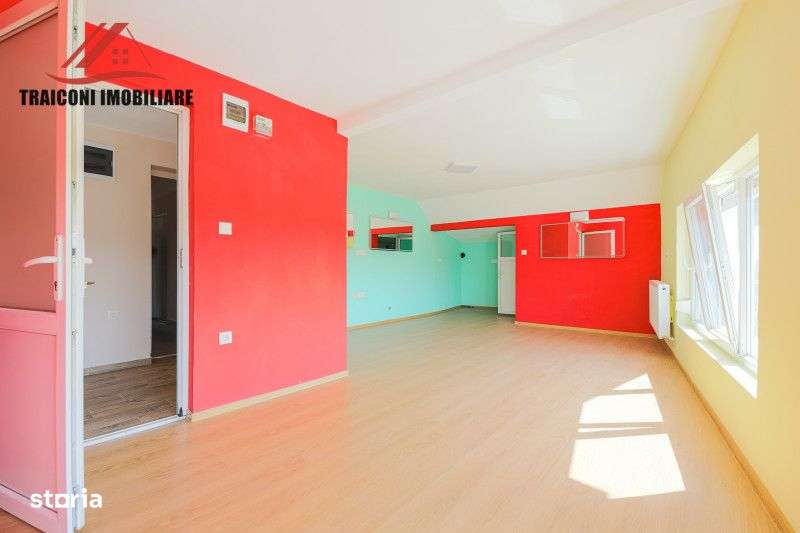 Cladire pensiune-restaurant cu hala si teren 7300mp, Faget ( Timis )-15