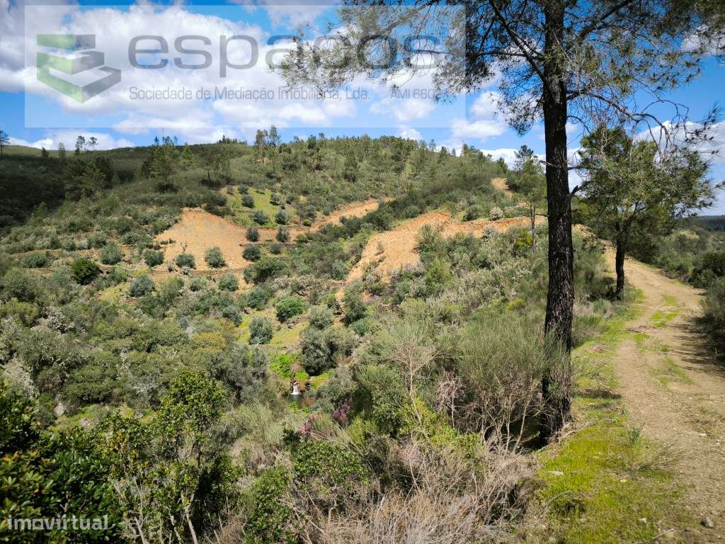 Vale do Ocreza - Vilares de Cima - Grande imagem: 3/6