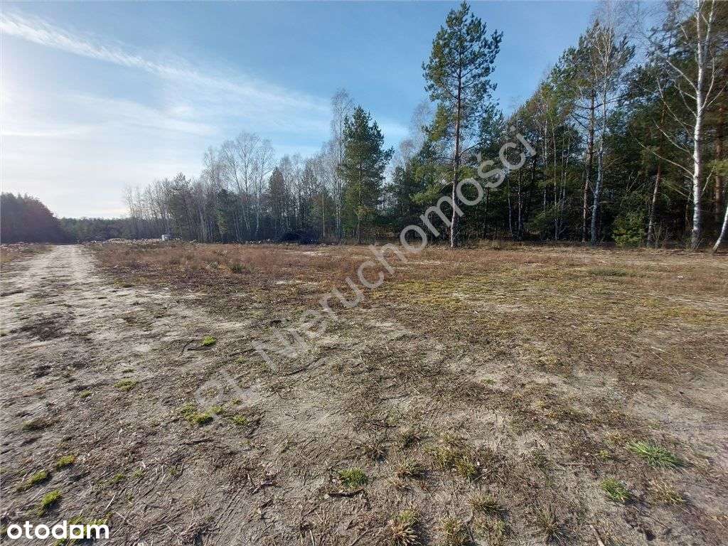 Ostatnia - Piękna Działka W Dobrej Cenie-12