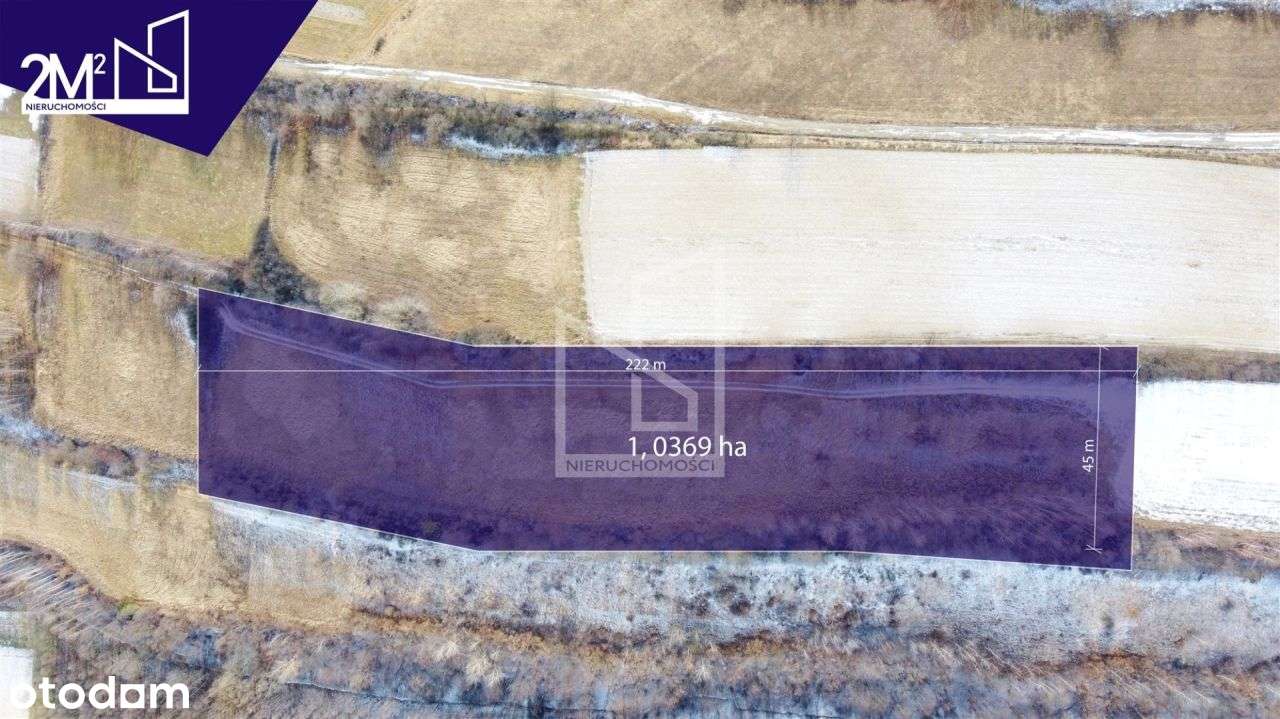 Działki rolne ( 2ha ) na sprzedaż w Łubnie! - Pełny obrazek: 4/7