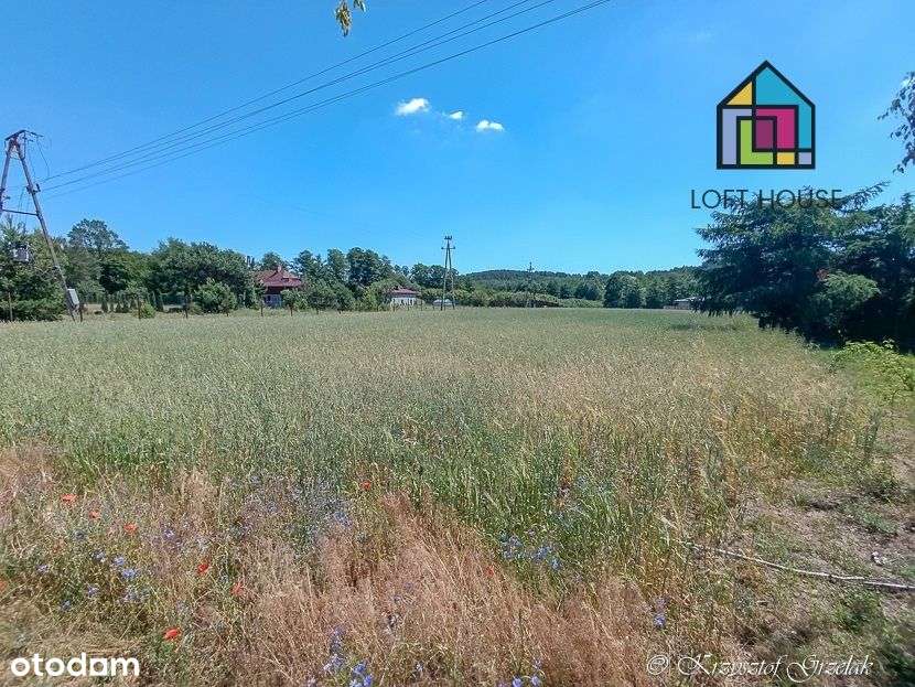 Działka, 3 000 m², Elgiszewo - Pełny obrazek: 4/6