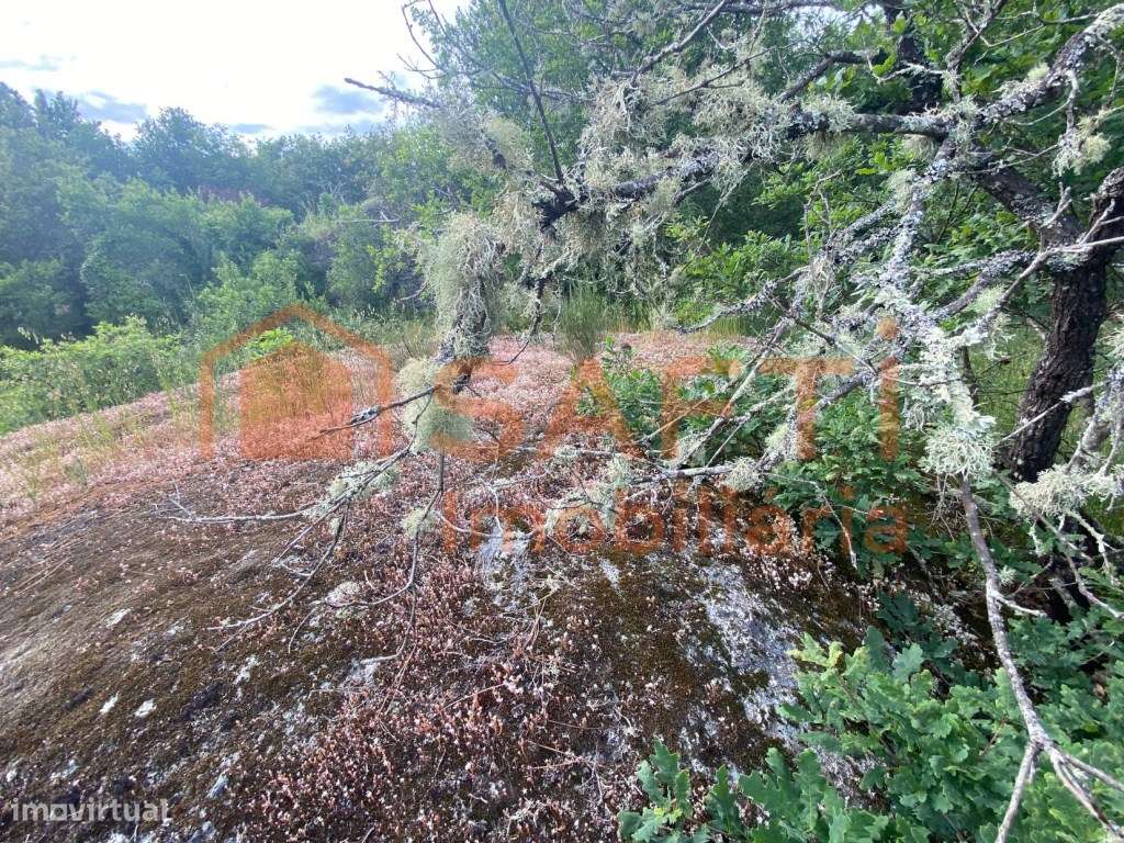 Terreno Viseu Construção Quinta com Moradia T2 e outras - Grande imagem: 2/42