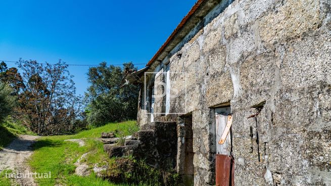Quinta de sonho em Baião, Grilo.-4