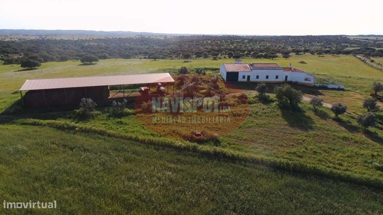 Herdade com 750 hectares no Alentejo - Grande imagem: 5/19