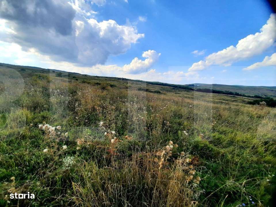 Teren intravilan de 5800 mp, situat in Padureni - Imagine principală: 4/6