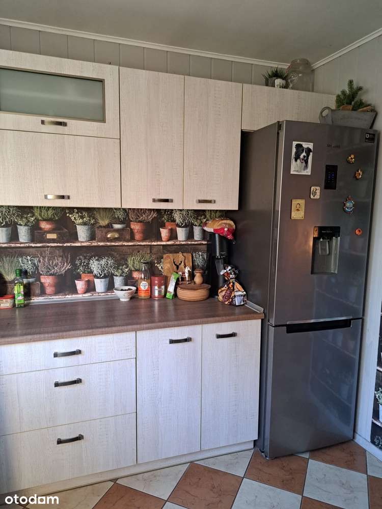 Dom, duża działka, stajnia-13