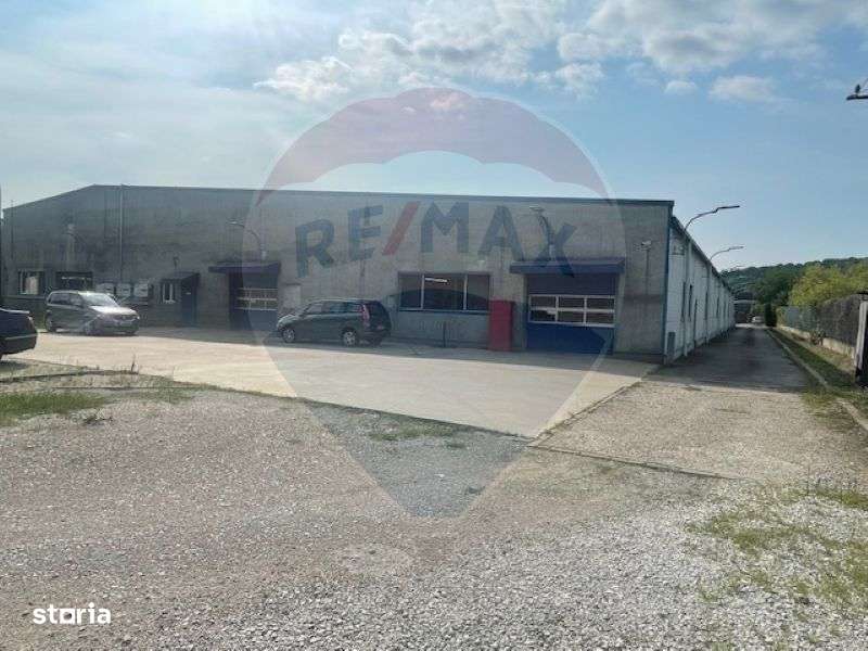 Hala de Inchiriat | Calea Baciului | Cluj-Napoca - Imagine principală: 2/5