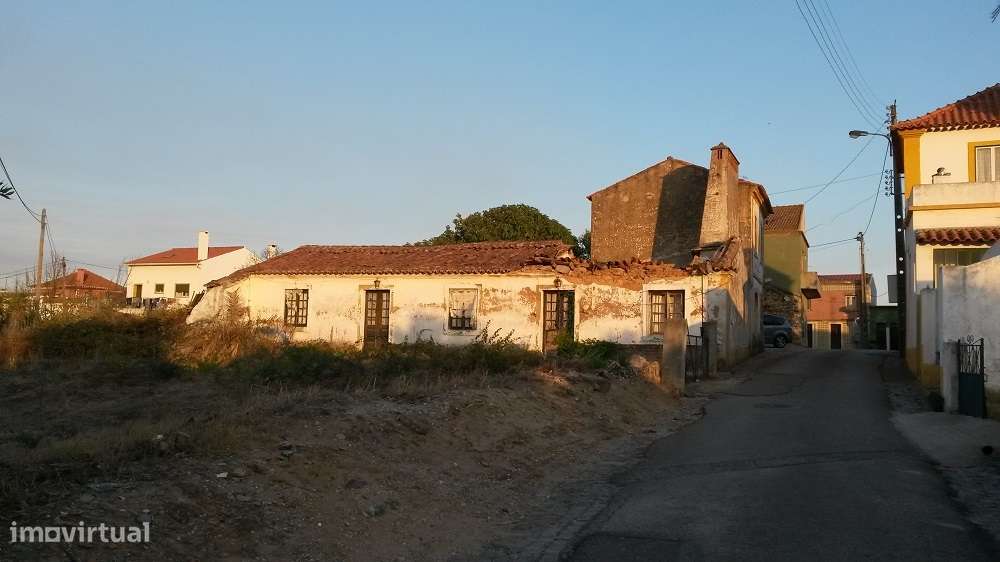 Moradia T3 Venda em Santa Margarida da Coutada,Constância - Grande imagem: 2/6