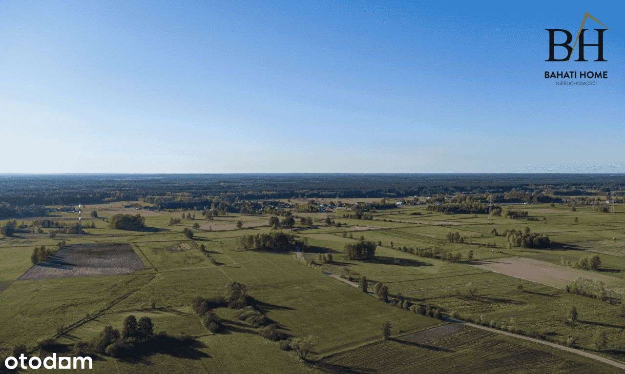 Siedlisko z potencjałem.-10