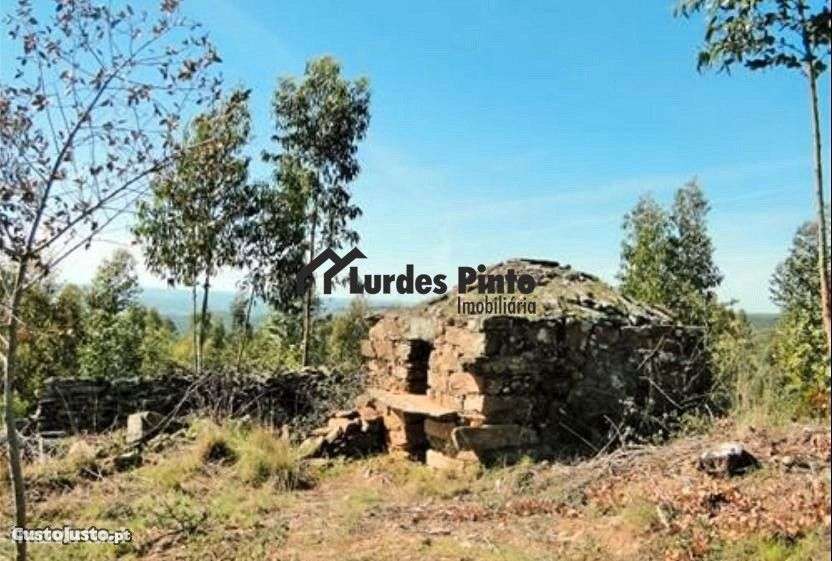 Quinta com construções em pedra e muita água - Grande imagem: 5/12