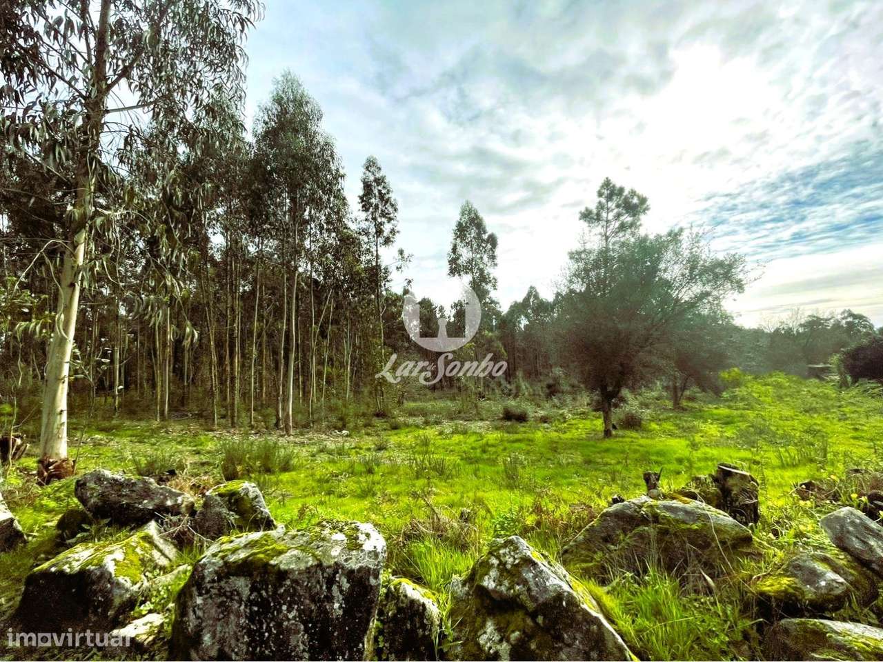 Terreno para construção em Barcelos - Grande imagem: 5/23