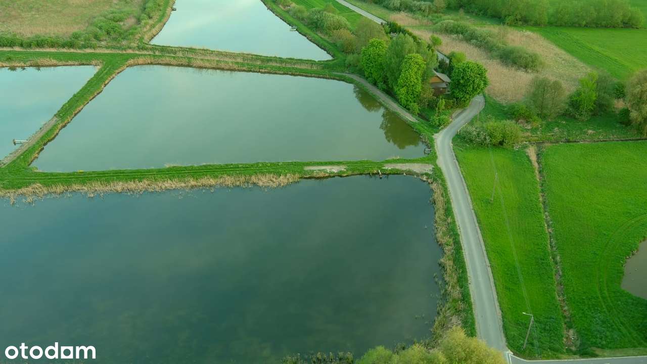 Gospodarstwo Rybackie Markuszów pow. Puławski-9