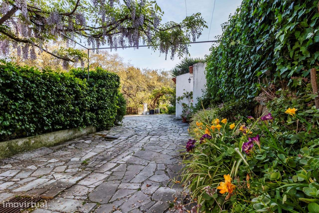 Moradia T6 c/ Terreno de 1600m2 c/ Piscina, Garagem e Anexos em Colare-8