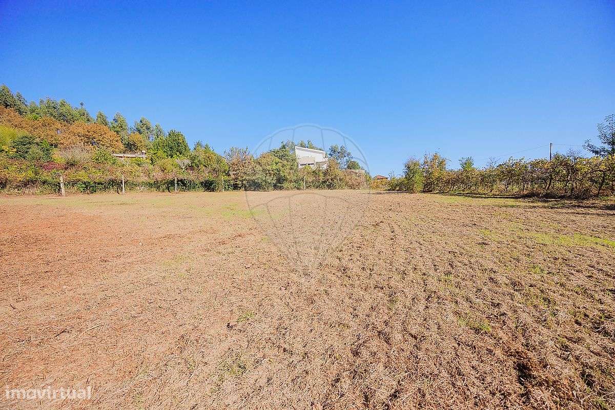 Quinta  para venda - Grande imagem: 5/18