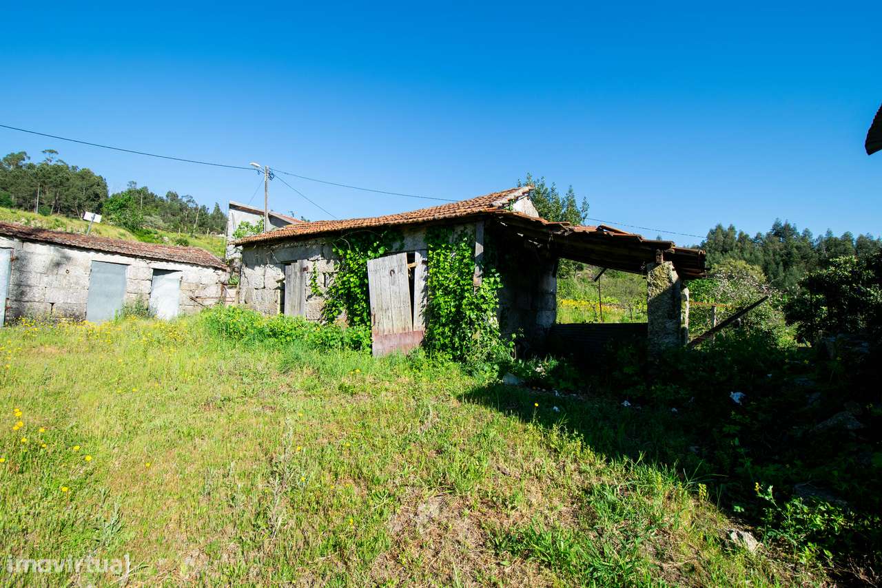 Quinta T2 Venda em Travanca,Amarante - Grande imagem: 5/22