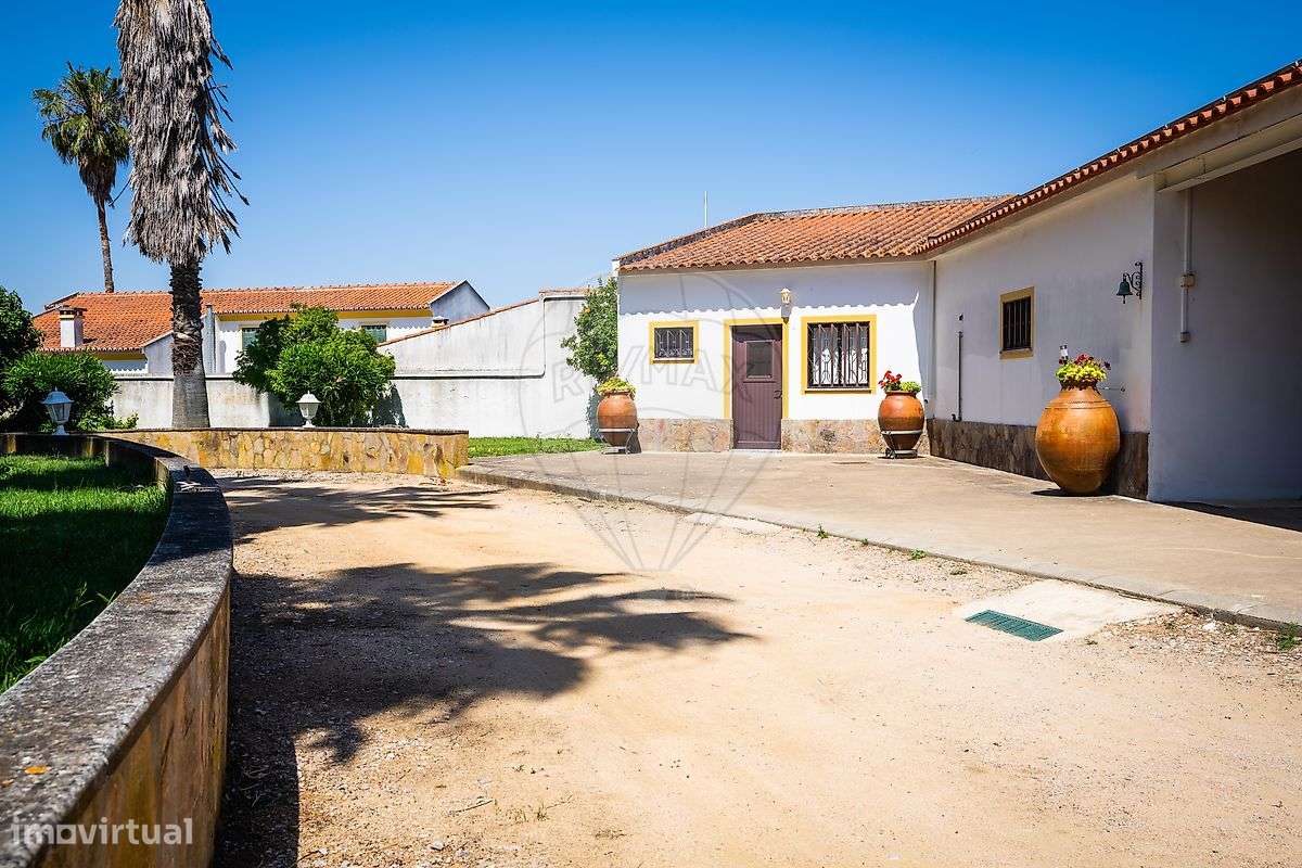 Quinta T7 para venda-30