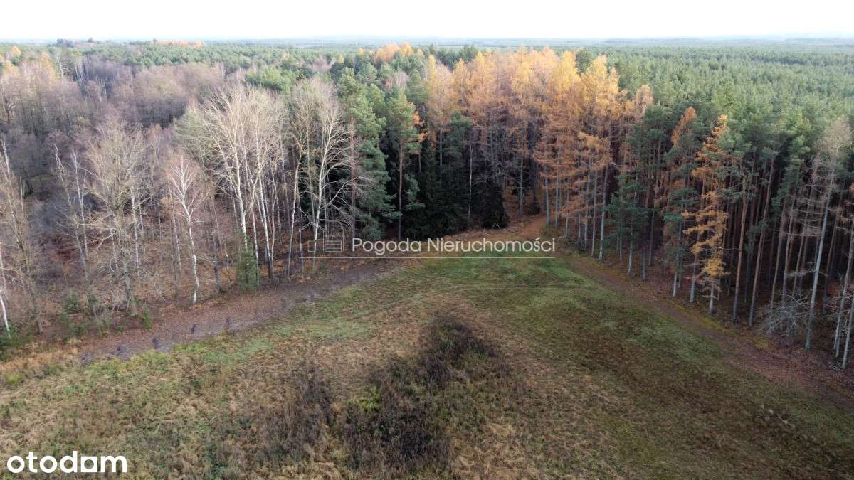 Działki na sprzedaż - Trzebule-7