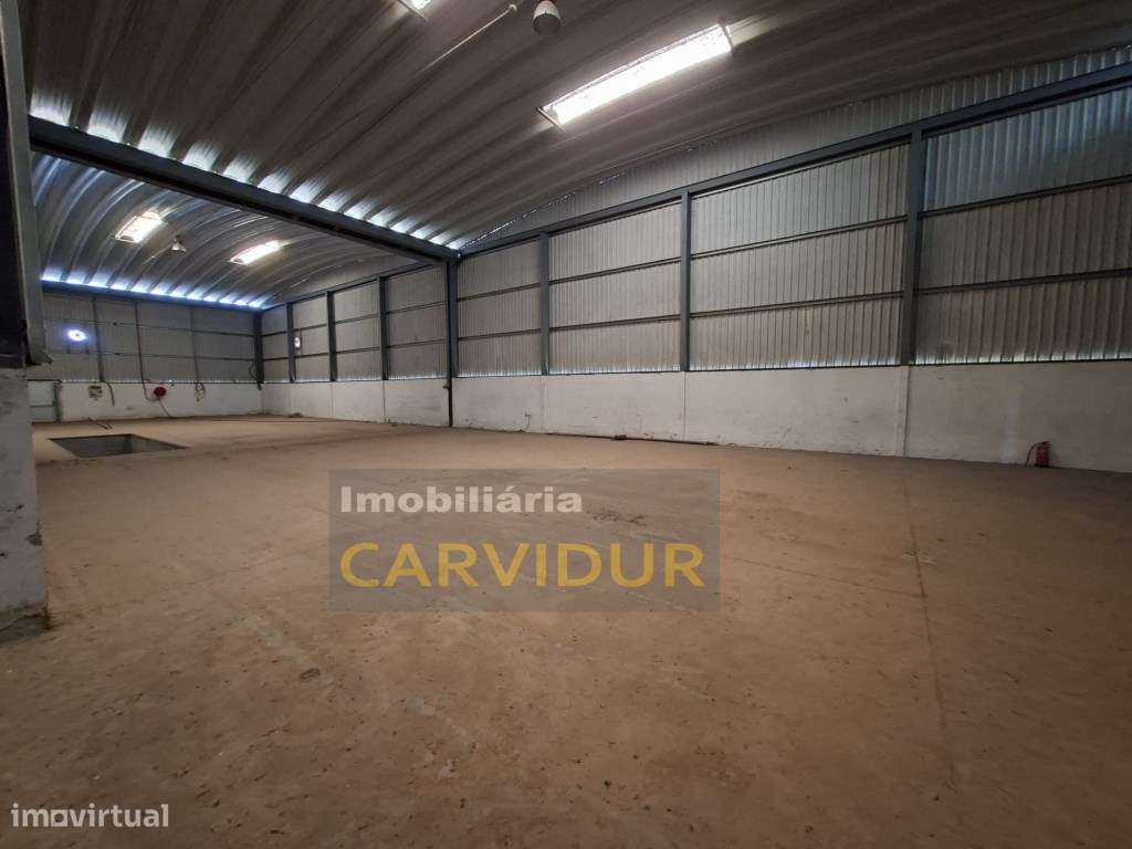 Armazém Industrial de Grande Dimensão - Parque Industrial da Mitren...-25