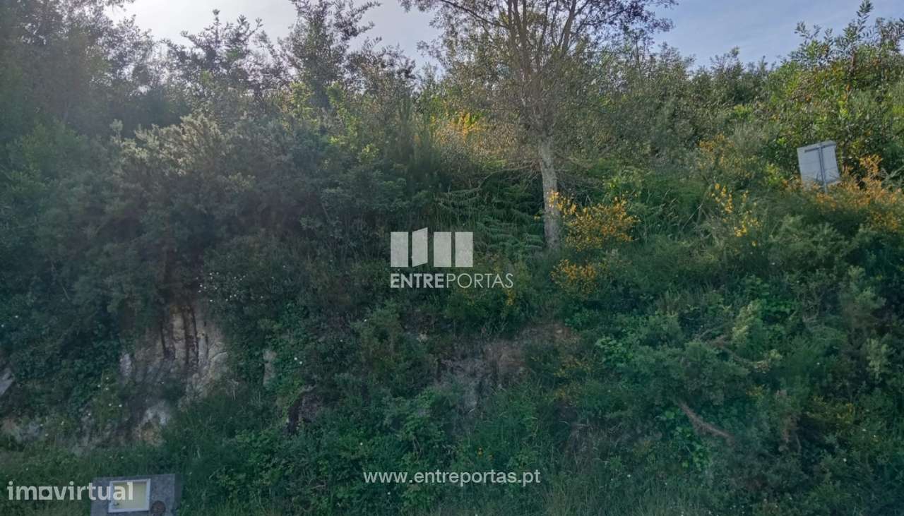 Lote de terreno para venda, Âncora, Caminha - Grande imagem: 4/25