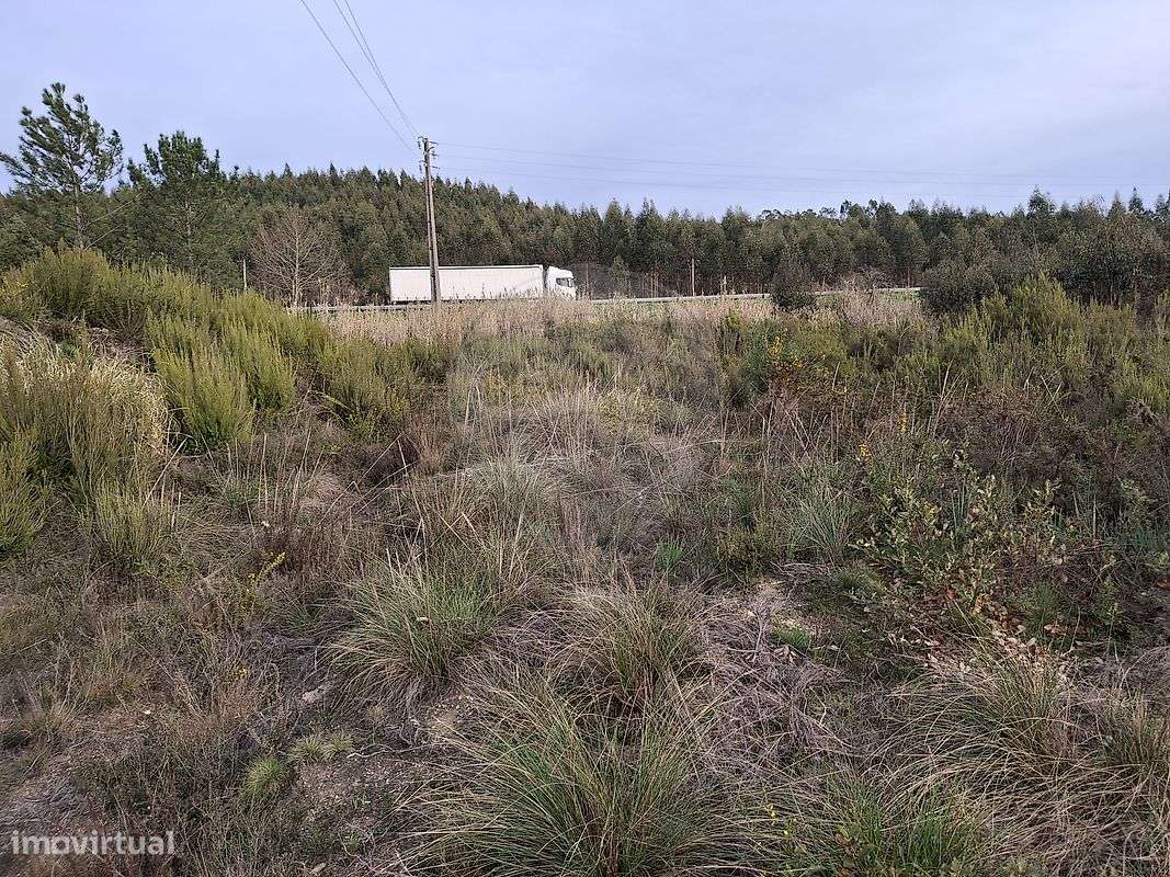 Terreno  para venda - Grande imagem: 2/11