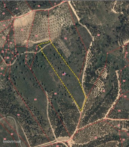 Conjunto 4 terrenos em Castelo Branco: 2 Retaxo + 2 Sarnadas de Rodao-6