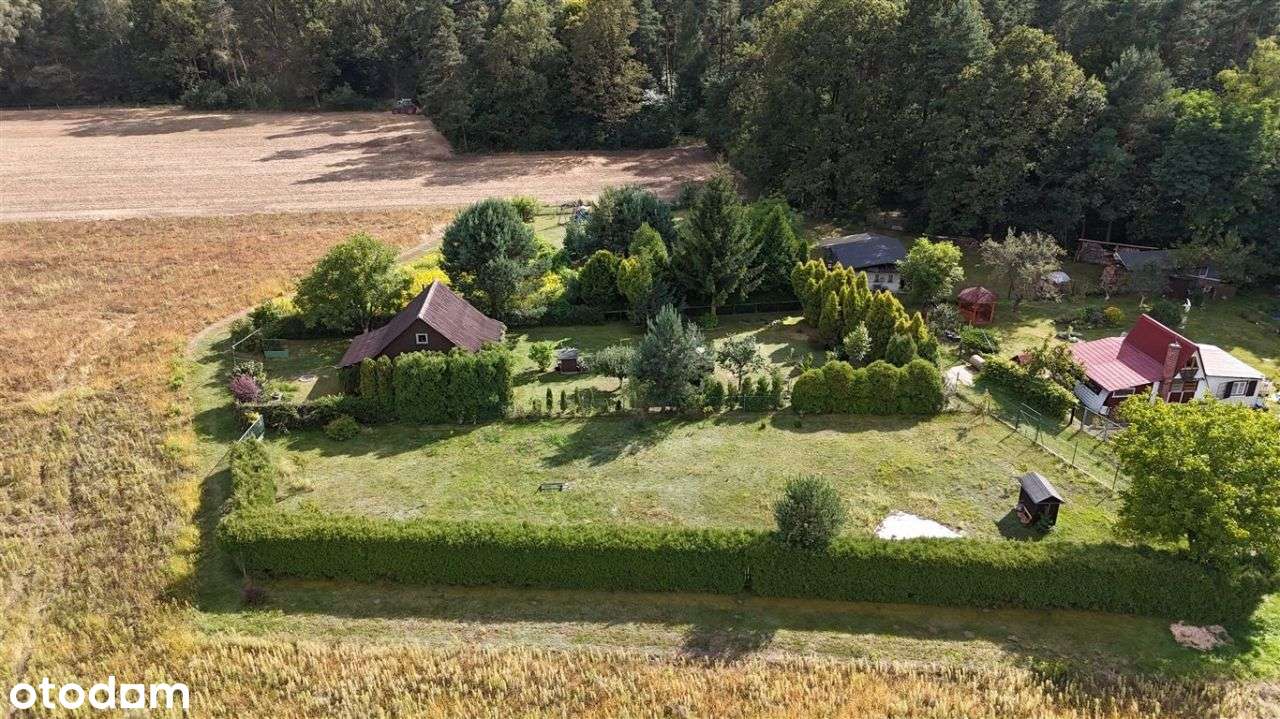 Dzałka blisko lasu - budowlano-rekreacyjna-0