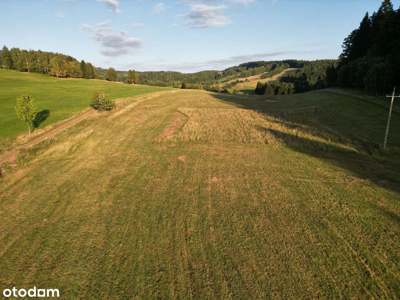Działka, Sierpnica, Gm. Głuszyca, Wałbrzyski - Pełny obrazek: 4/5