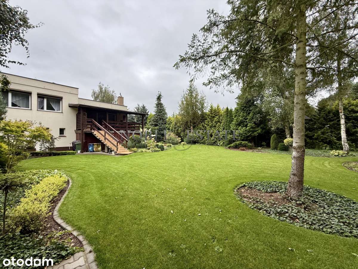 Cudowny ogród pod ścianą lasu-11