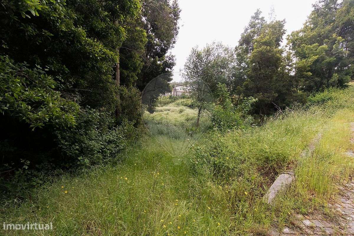 Terreno  para venda - Grande imagem: 4/22