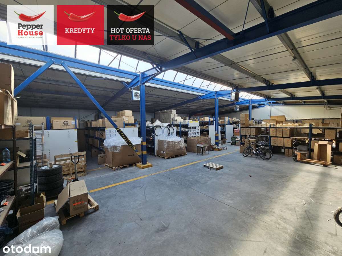 Na wynajem Hala magazynowa + Dom!!! - Pełny obrazek: 5/7
