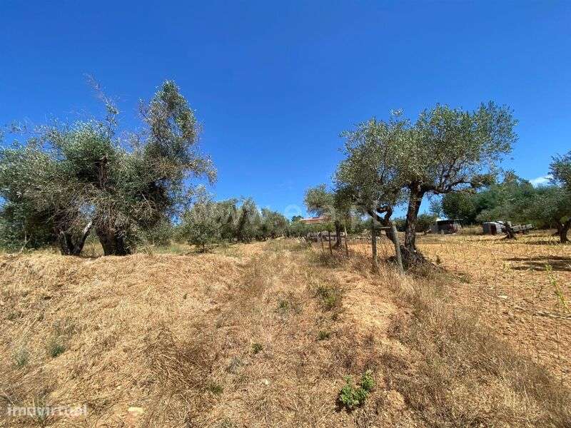 Terreno Rústico / Fundão, Castelejo - Grande imagem: 3/5