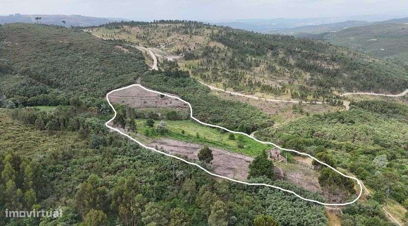 Quinta para construçao e agricultura - Grande imagem: 4/9