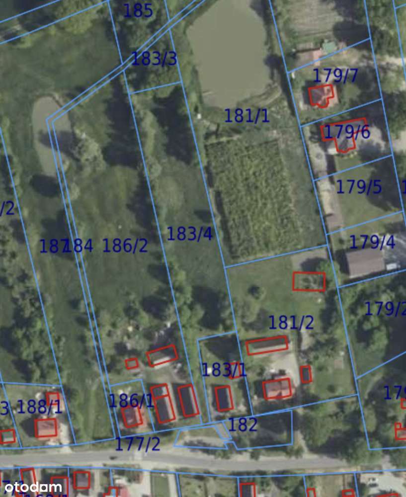50 arów | Działka budowlana | Ogrodzona | Dojazd asfaltowy  Gogołowice-5