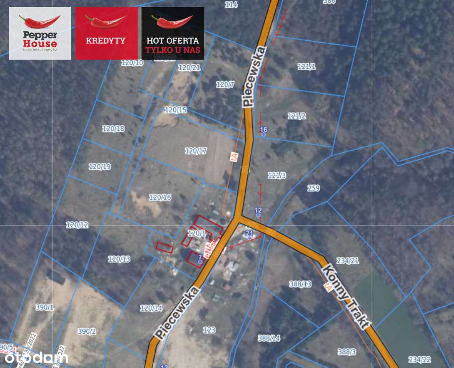 3 działki - 2,5 km od jeziora - 2 w linii rzeki. - Pełny obrazek: 5/5