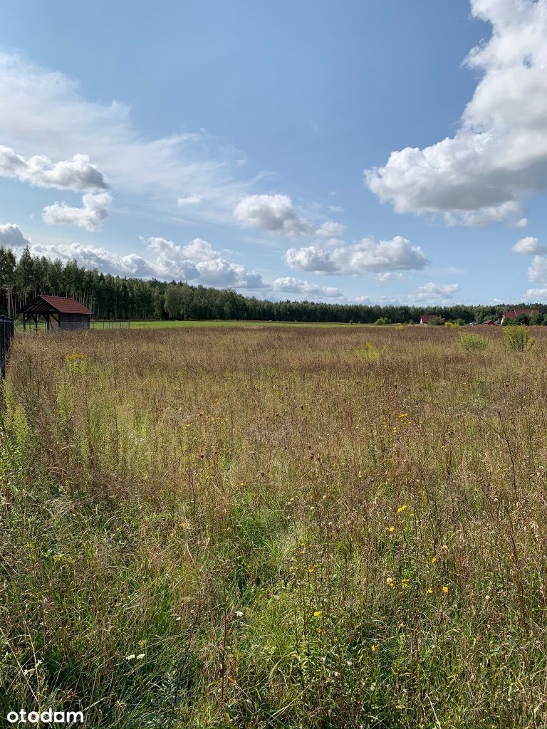 Działka 1303m2 Rydzewo ul.Niegocińska Mazury WJM