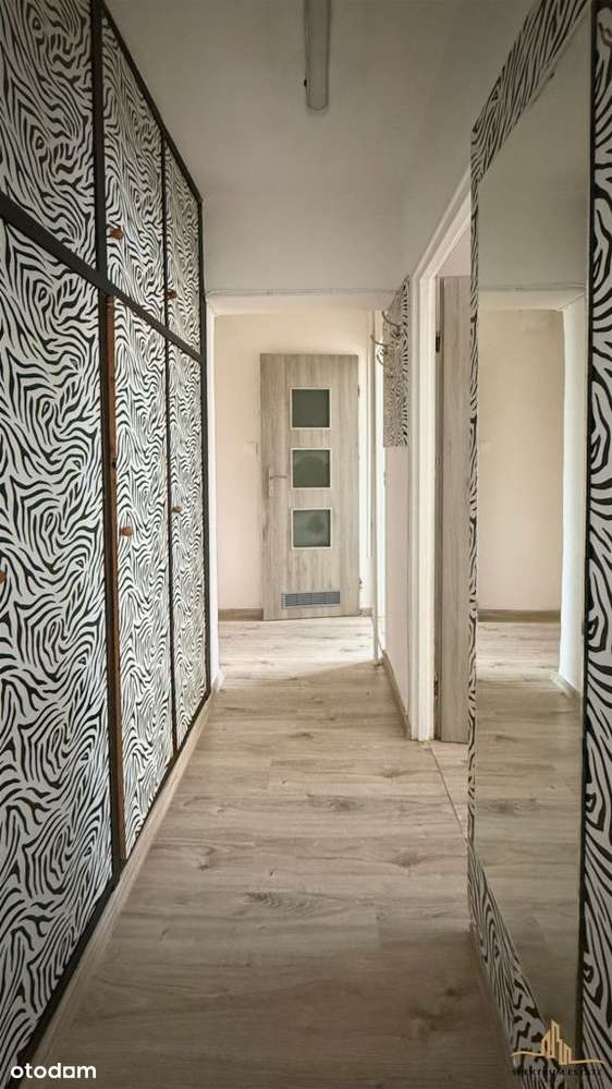 2 Pokoje Z Osobną Kuchnią I Balkonem!  - Pełny obrazek: 5/9