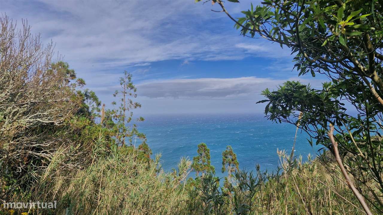 Moradia em Ruína - Santana-1