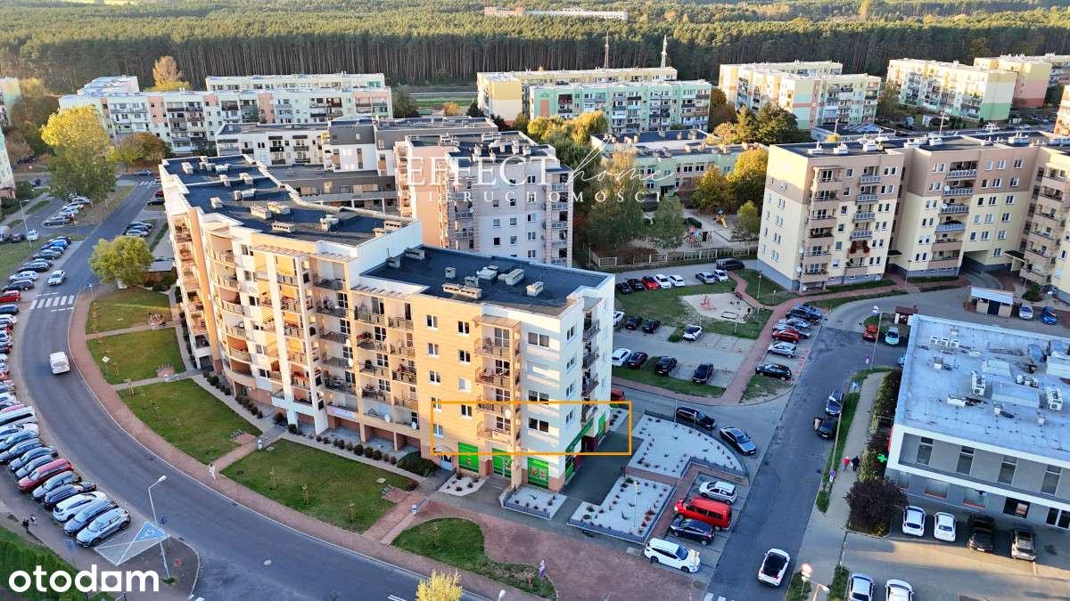 Lokal lub mieszkanie 110 m2 w świetnej lokalizacji - Pełny obrazek: 4/15