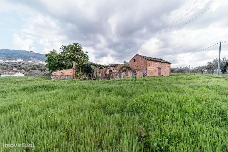 Quintinha / Fundão, Aldeia Nova