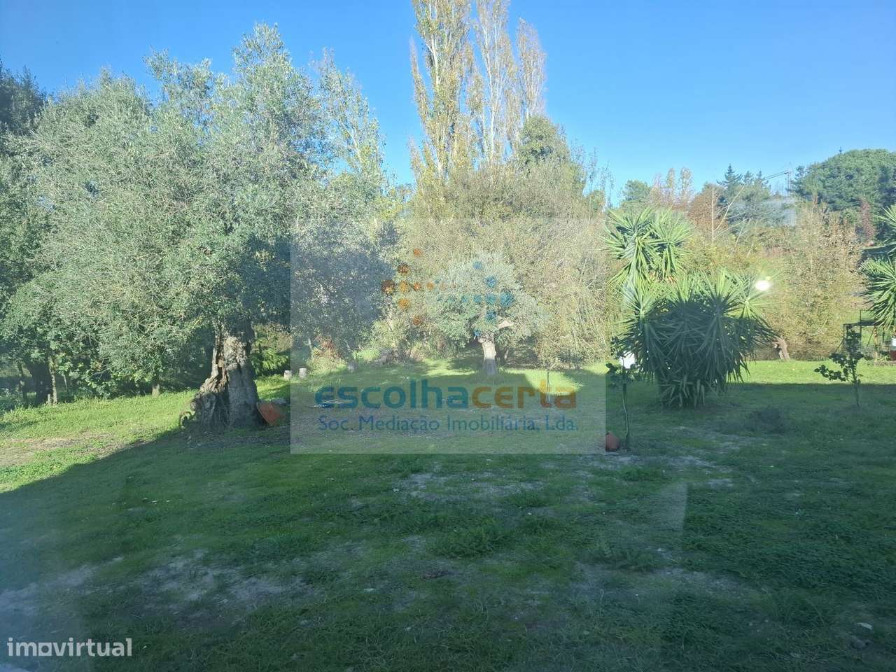 Quinta dos Seus Sonhos Onde a Natureza Fala Mais Alto Palmela - Quinta-1