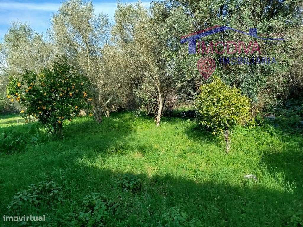 Moradia T2 com arrecadações, garagem e quintal em Constância-31