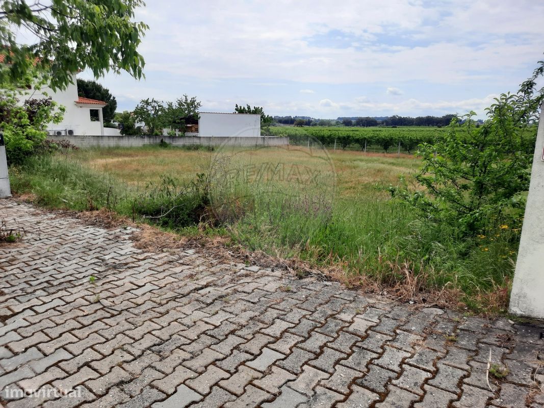 Terreno  para venda