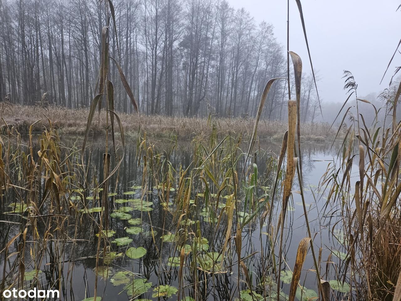 działka z linią brzegową rzeki na szlaku Krutyni