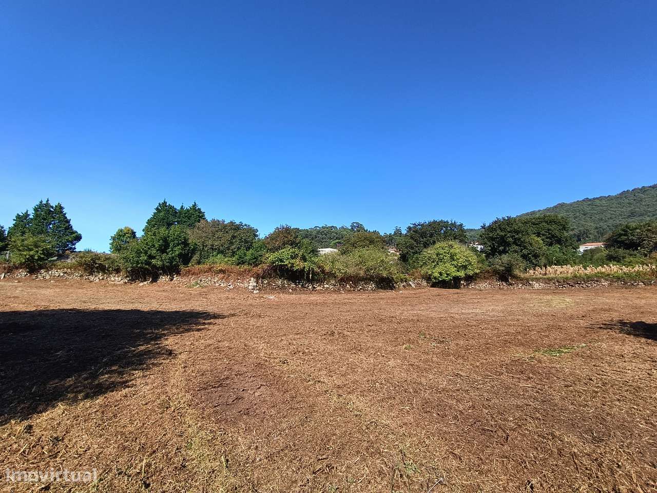 Terreno, Carreço - Grande imagem: 5/10