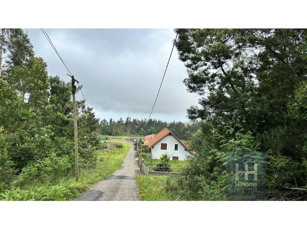 Terreno rústico no Santo da Serra com 13.920 m2 para construção de ... - Grande imagem: 4/24