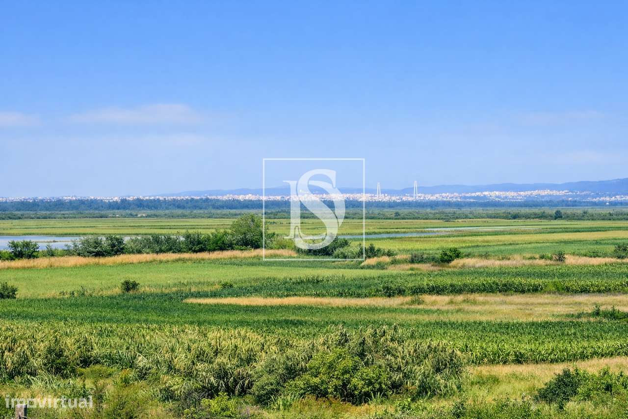 Terreno Para Construção  Venda em Alqueidão,Figueira da Foz-32