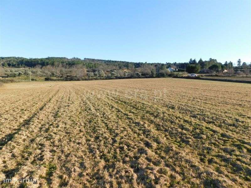 Terreno / Belmonte, Monte do Bispo - Grande imagem: 5/15