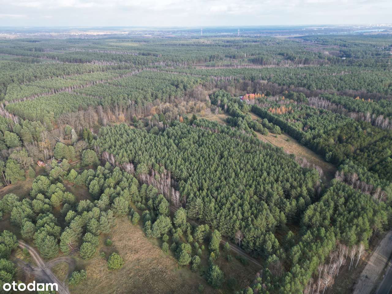 Działka na sprzedaż – Małe Jarki, koło Cierpic, niedaleko Torunia - Pełny obrazek: 5/11