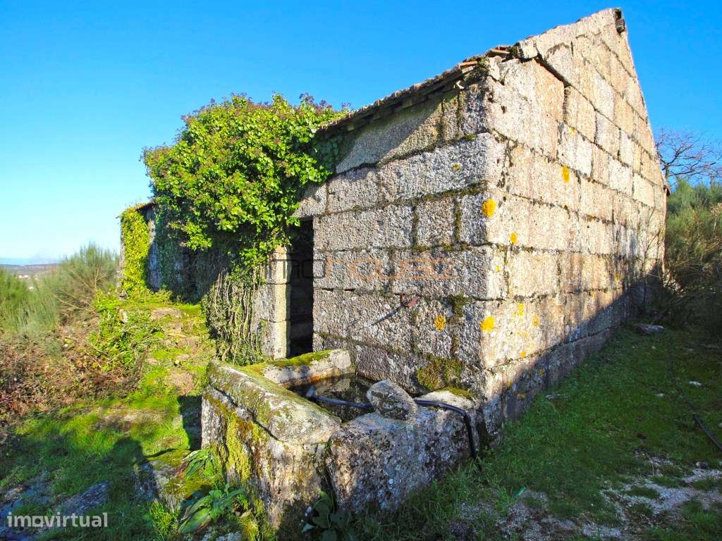 Terreno de 84 hectares-21