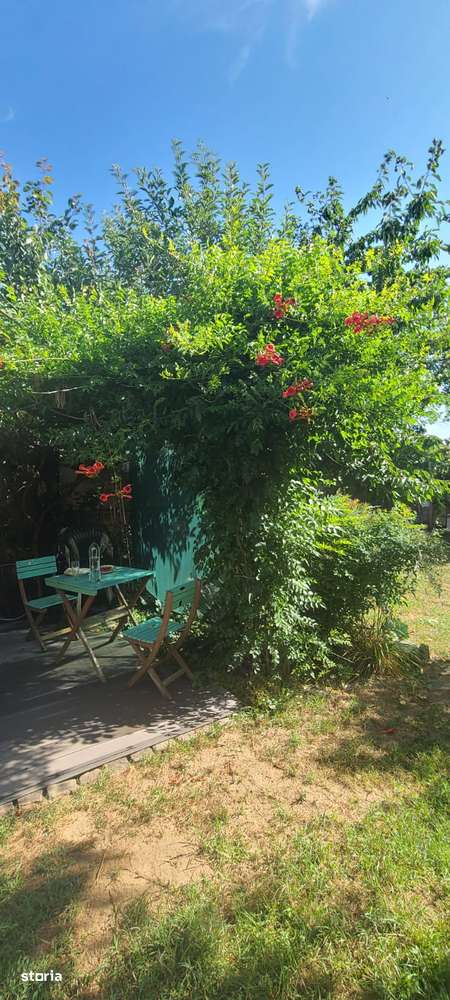 Casa individuala Timisoara-Zona Crisan+teren 354-Oportunitate unica! - Imagine principală: 4/13